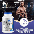 HMB Supplement Capsule Third Party Tested for Muscle Recovery, Growth, and Retention 90 Capsules 45 Servings